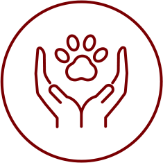Éducation canine et pension en Haute-Savoie