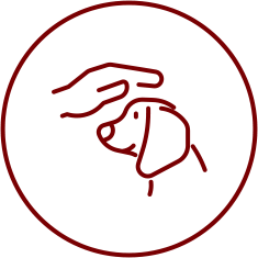 Éducation canine et pension en Haute-Savoie
