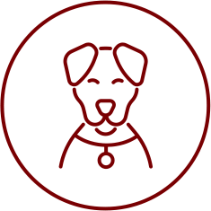 Éducation canine et pension en Haute-Savoie