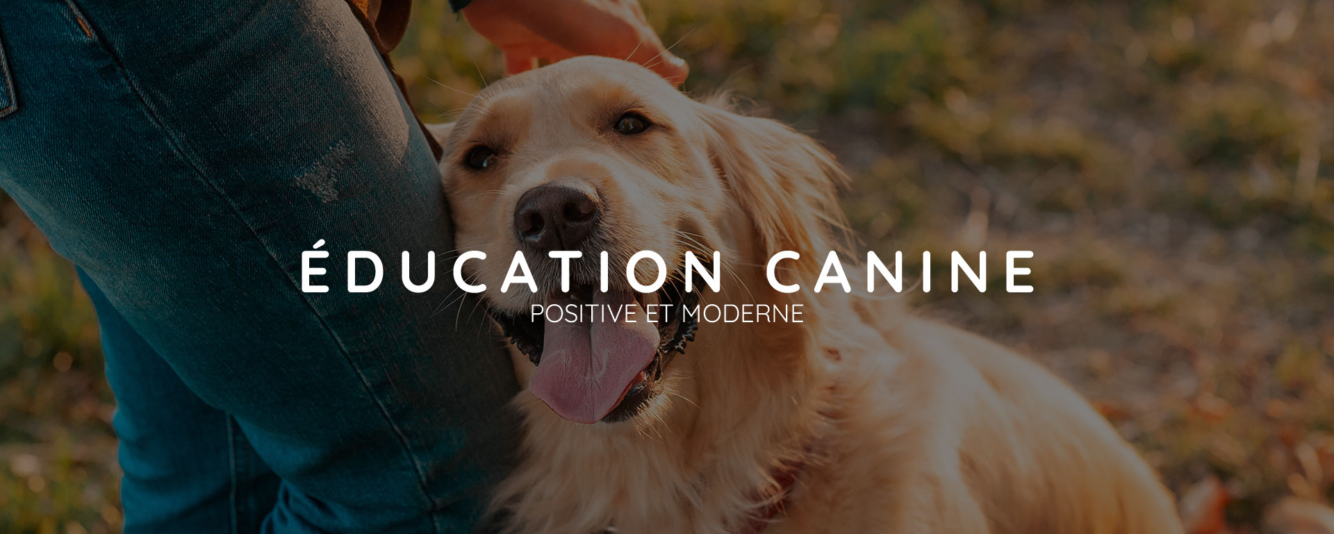 Éducation canine et pension en Haute-Savoie