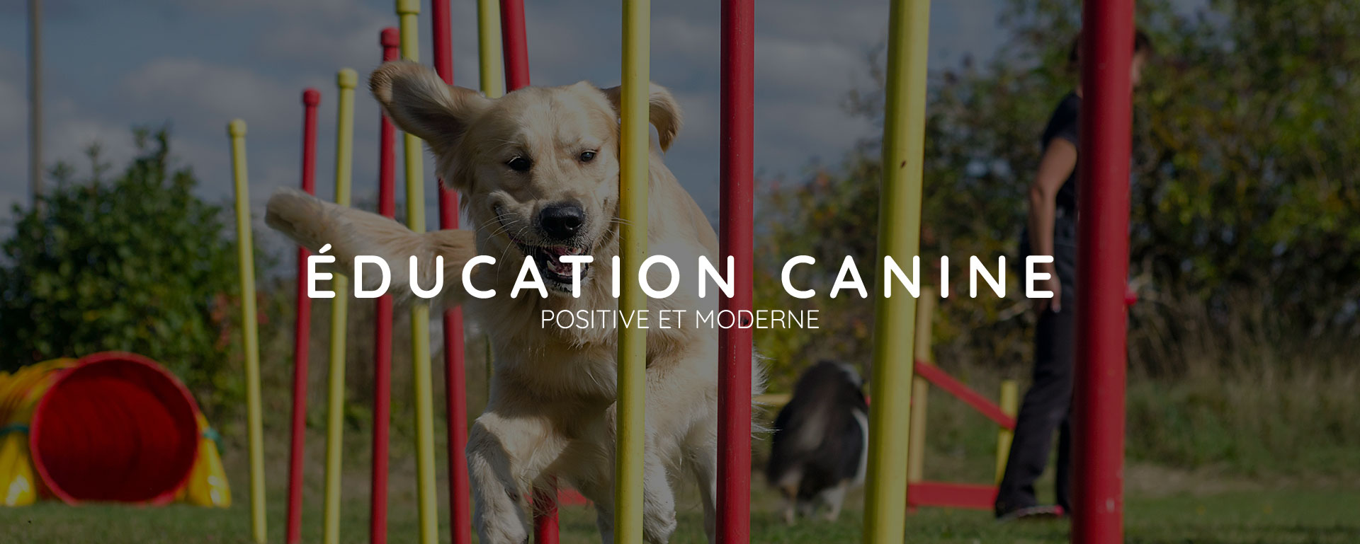 Éducation canine et pension en Haute-Savoie