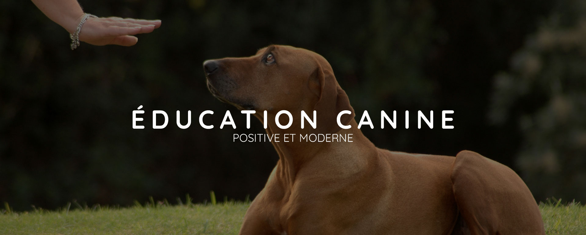 Éducation canine et pension en Haute-Savoie