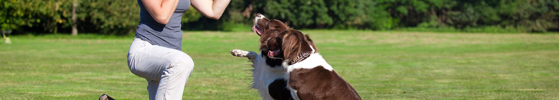 Coaching canin près d'Évian-les-Bains